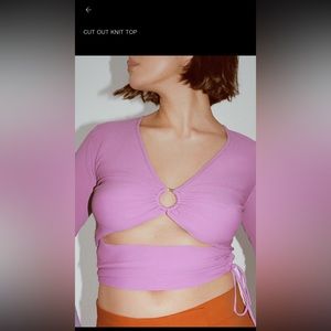 Zara cut out knit top